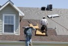 W Treeskylights-2.jpg; ?>